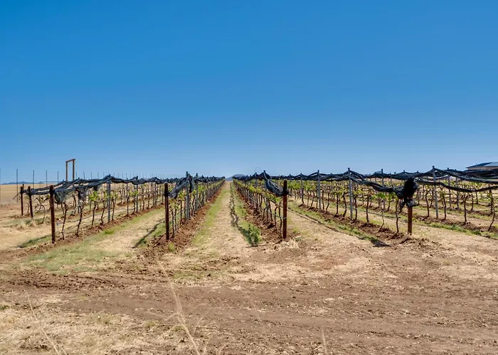 Holiday home Walk To Wineries: Wine Country Retreat!